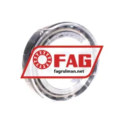 FAG N1012-K-PVPA1-SP
