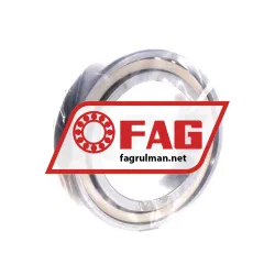 FAG N1012-K-PVPA1-SP rulman resim 2