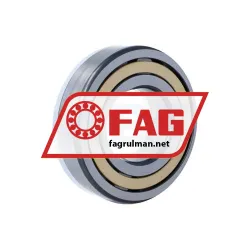 FAG NJ312-E-M1-F1-C4