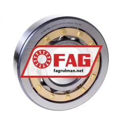 FAG NU418-XL-M1-F1-C4