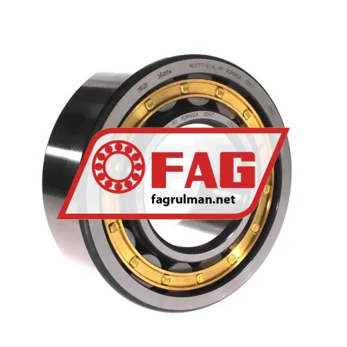 FAG NU2220-E-XL-M1