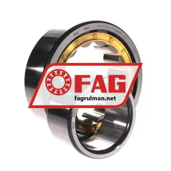 FAG NU2220-E-XL-M1 rulman resim 2