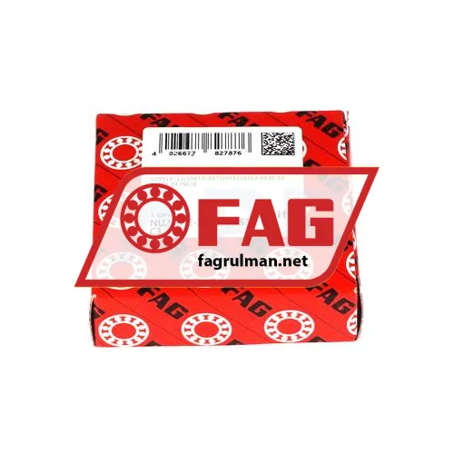 FAG NU206-E-XL-M1A-S1-C3 ürün fotoğrafı 3