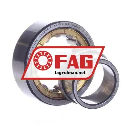 FAG NJ2206-E-XL-M1-C4 rulman resim 2