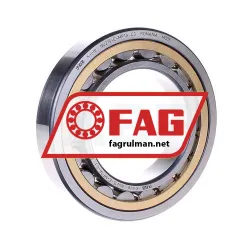 FAG NU215-E-MP1A-C3