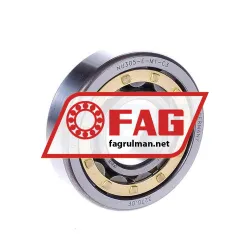 FAG NU305-E-M1-C3