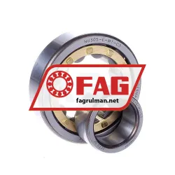 FAG NU305-E-M1-C3 rulman resim 2