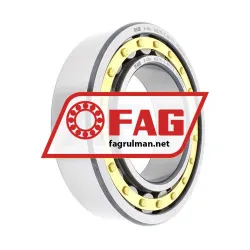FAG NJ2215-E-M1-C3