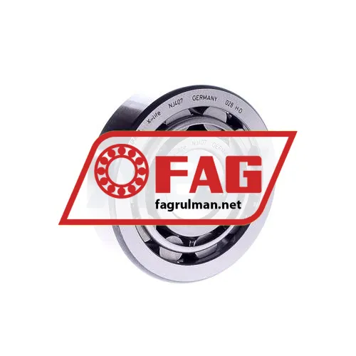 FAG NJ407