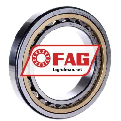 FAG NU1022MPA-F59-C3