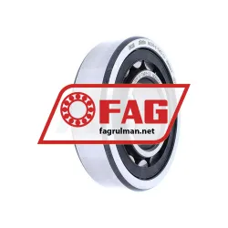 FAG NU309-E-TVP2-C4
