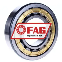 FAG NJ317-E-M1-C4