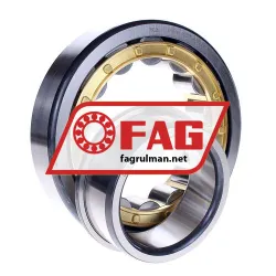 FAG NJ317-E-M1-C4 rulman resim 2