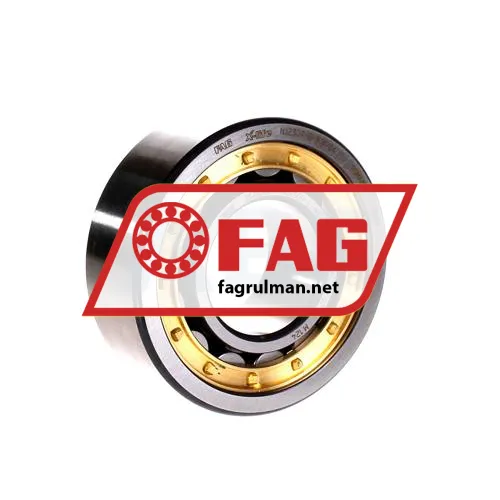 FAG NJ2309-E-M1A-C4