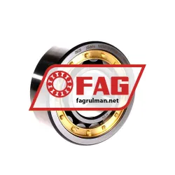 FAG NJ2309-E-M1A-C4