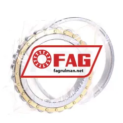FAG N1022-K-M1-SP