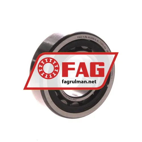 FAG NU205-E-TVP2-C4