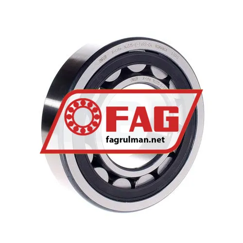 FAG NJ315E-TVP2-C4