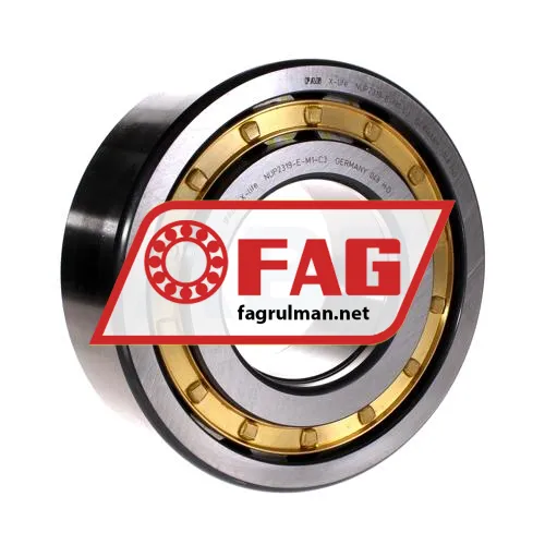 FAG NUP2319-E-M1-C3