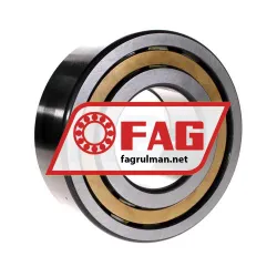 FAG NUP2319-E-M1-C3 rulman resim 2