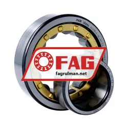 FAG NU310-E-M1-C3