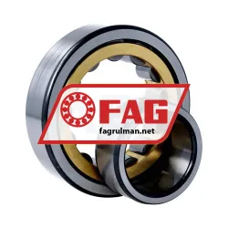 FAG NU310-E-M1-C3 rulman resim 2