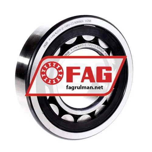 FAG NJ313-E-TVP2-C3
