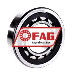 FAG NJ313-E-TVP2-C3