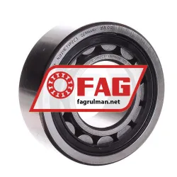 FAG NJ2311-E-TVP2-C3