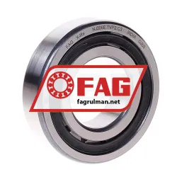 FAG NJ206-E-TVP2-C3