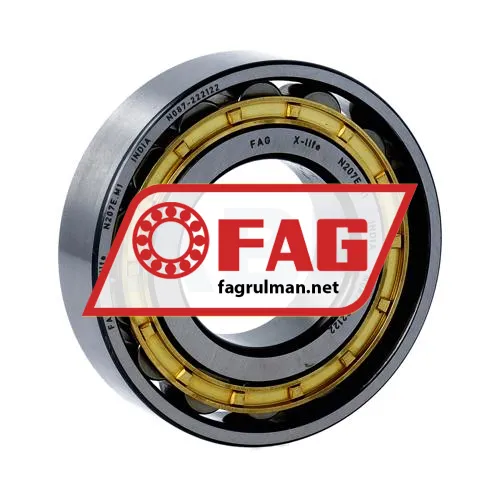 FAG N207-E-M1