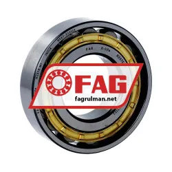 FAG N207-E-M1