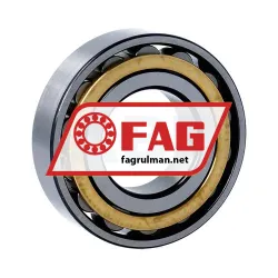 FAG N207-E-M1 rulman resim 2