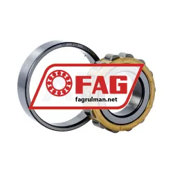 FAG N207-E-M1 rulman resim 3