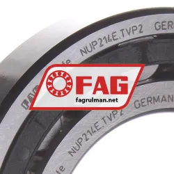 FAG NUP214-E-TVP2 rulman resim 2