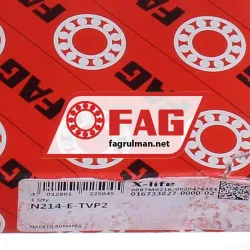 FAG N214E-TVP2 rulman resim 6