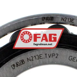FAG N213E-TVP2 rulman resim 4