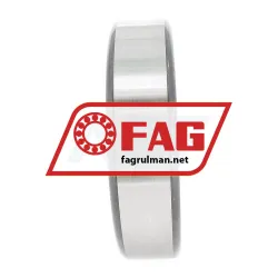 FAG N213E-TVP2 rulman resim 5