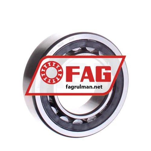 FAG NU2209E-TVP2