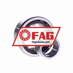 FAG NU204E-TVP2 rulman resim 2