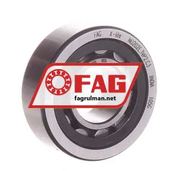 FAG NU202E-TVP2-C3