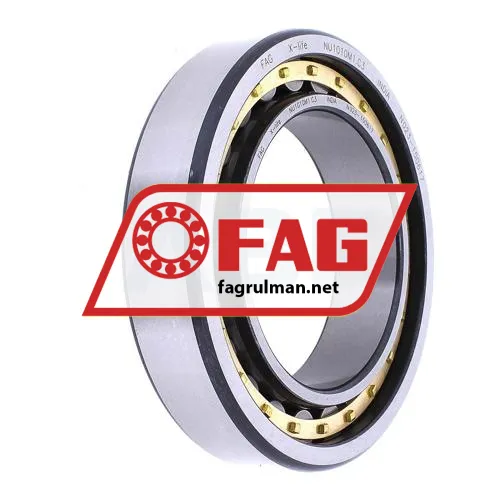 FAG NU1010M1-C3