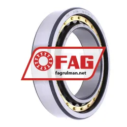 FAG NU1010M1-C3
