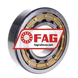 FAG NJ313E-M1