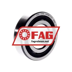 FAG NJ206E-TVP2