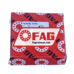FAG N307E-TVP2 rulman resim 4