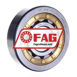 FAG NJ408-XL-M1A-C4