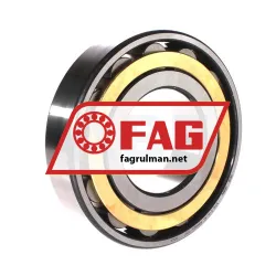 FAG N316-E-XL-M1 rulman resim 2