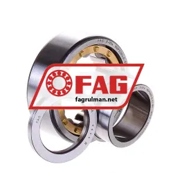 FAG NUP2205-E-XL-M1 rulman resim 2