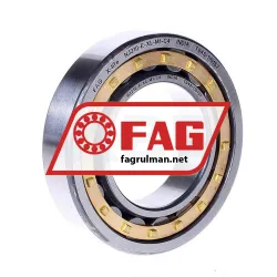 FAG NJ210-E-XL-M1-C4